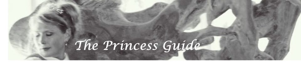 The Princess Guide to Relationships & Mental Health